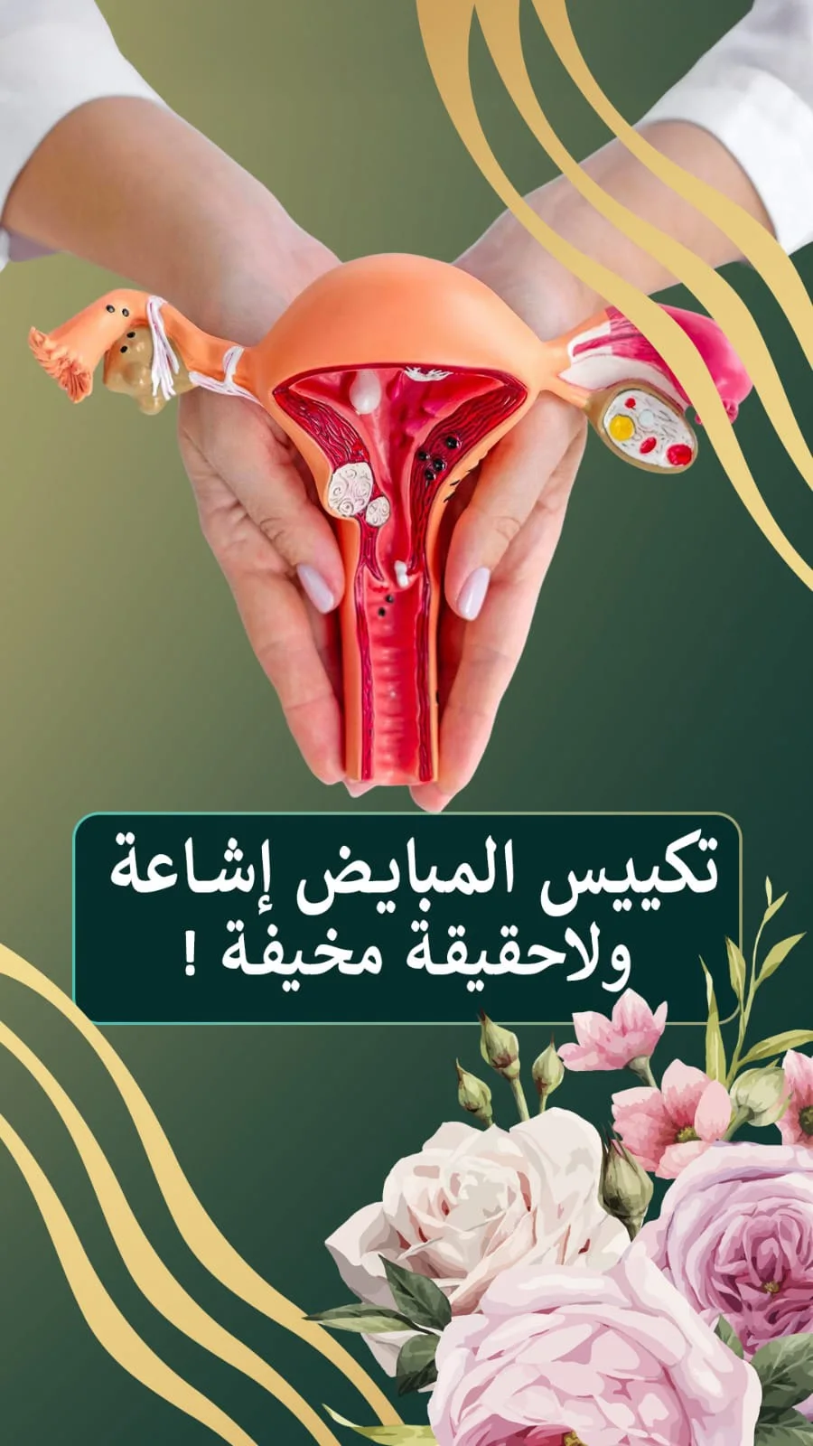 Dr. Samir Al-Qarain: 12